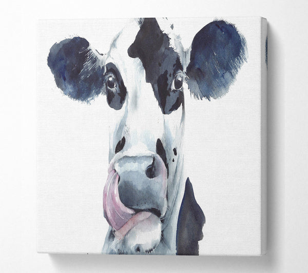 A Square Canvas Print Showing Cow Licking Square Wall Art