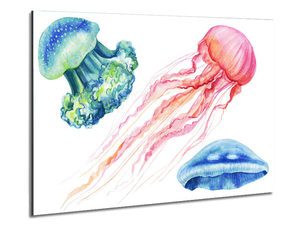 The Jellyfish Of The Sea Metal Print