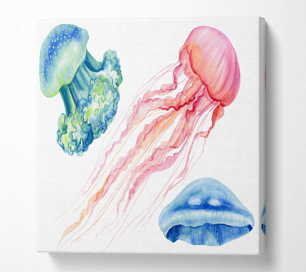 A Square Canvas Print Showing The Jellyfish Of The Sea Square Wall Art