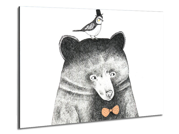 Vogel und Bär
