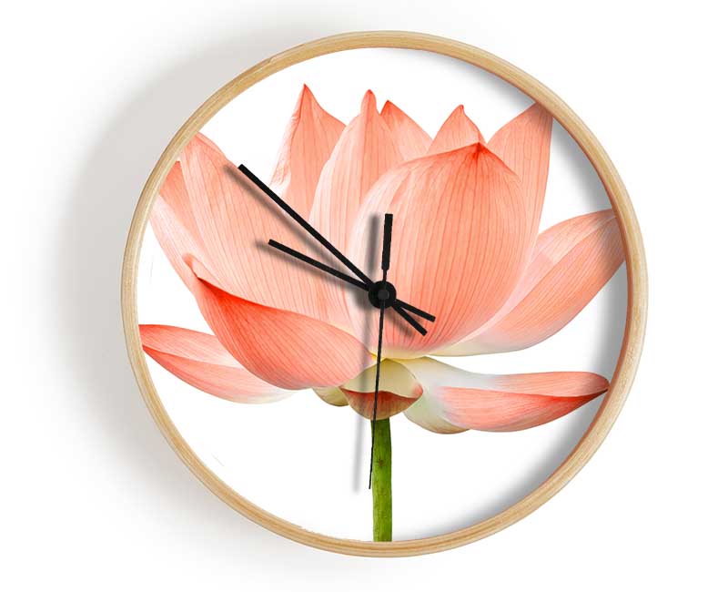 The Peach Flower Beauty Clock - Wallart-Direct UK