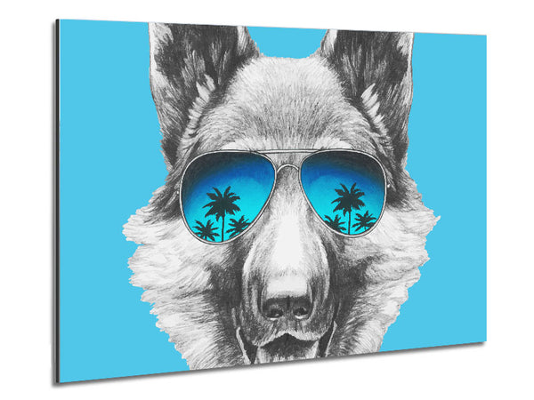 German Shepherd Glasses Metal Print