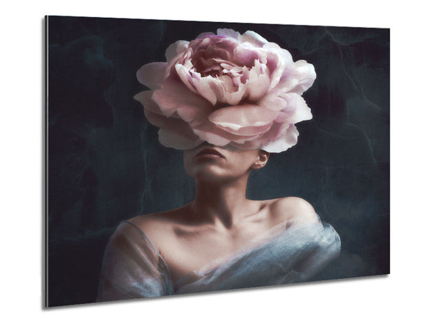 Der rosa Blütenkopf
