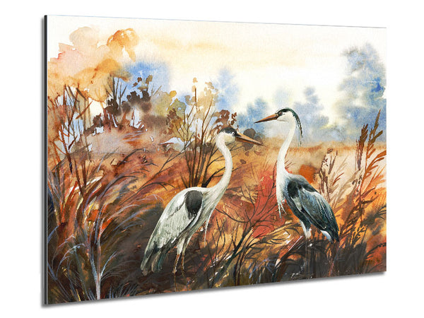 Herons In The Pond Metal Print