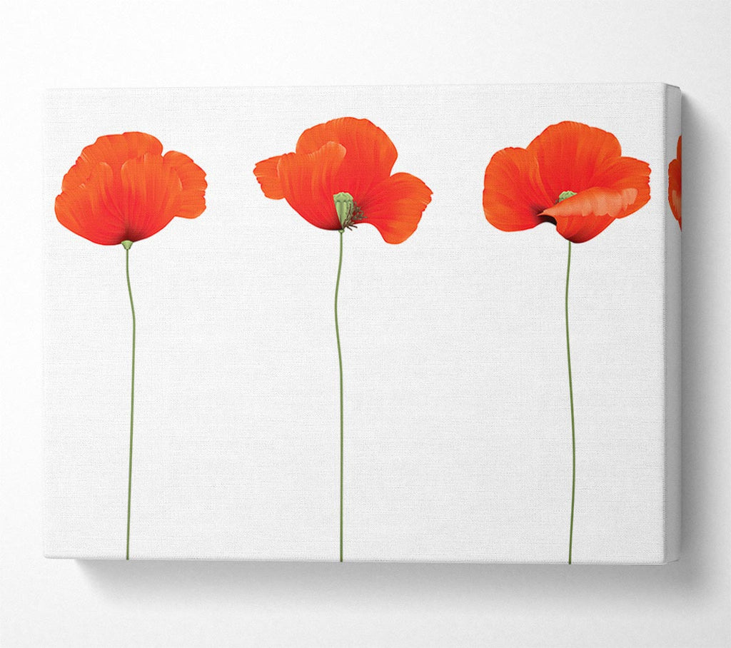 Picture of Three Poppies Standing Canvas Print Wall Art