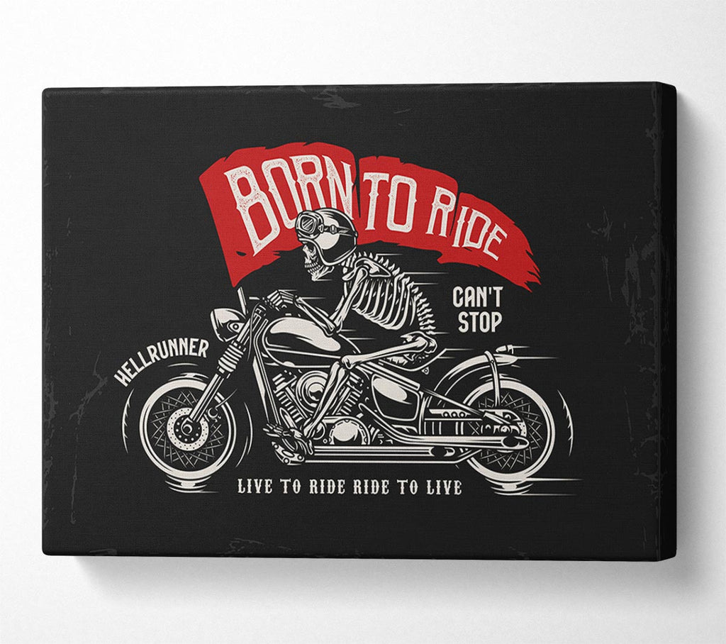 Picture of Born To Ride Canvas Print Wall Art