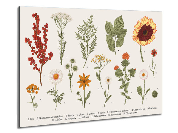 Blumenillustration handgezeichnet