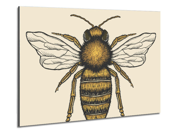 The Lovely Honey Bee Metal Print