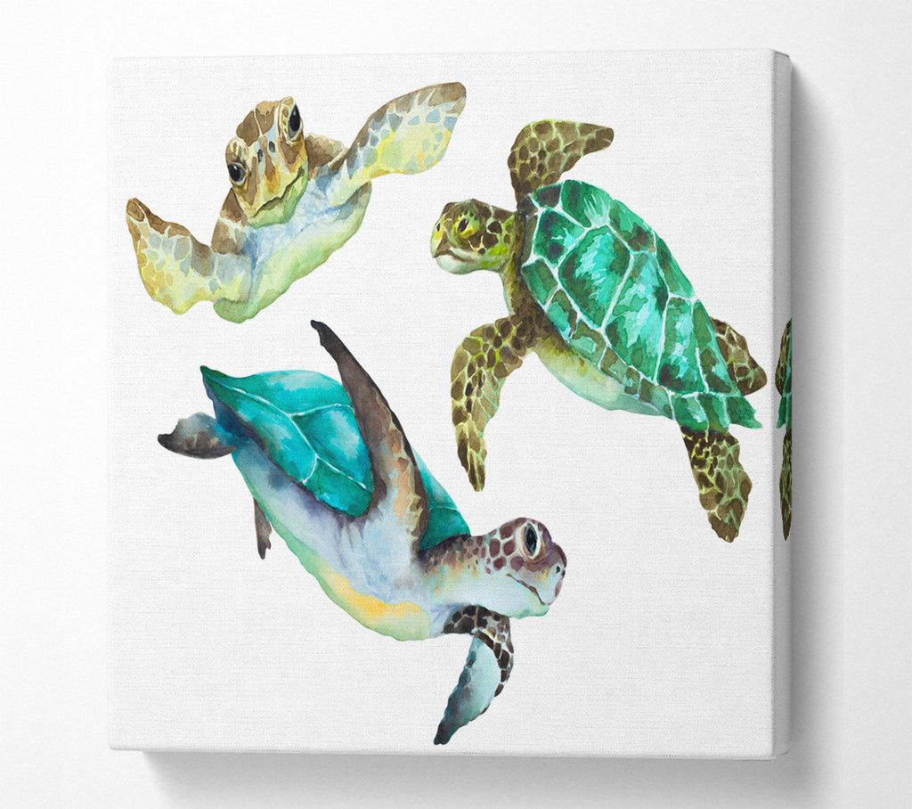 A Square Canvas Print Showing Seaturtle Love Square Wall Art