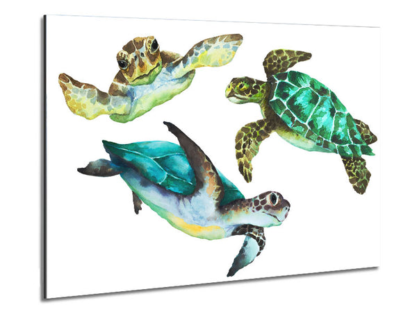 Seaturtle Love Metal Print