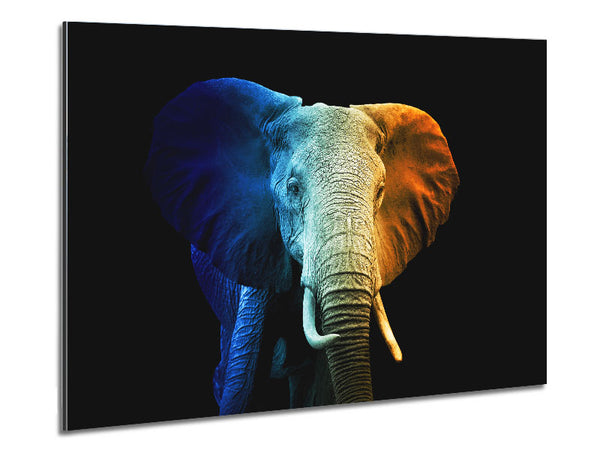 Dreifarbiger Elefant
