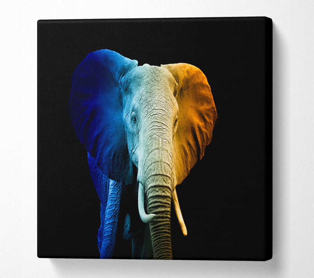 A Square Canvas Print Showing Tri Coloured Elephant Square Wall Art