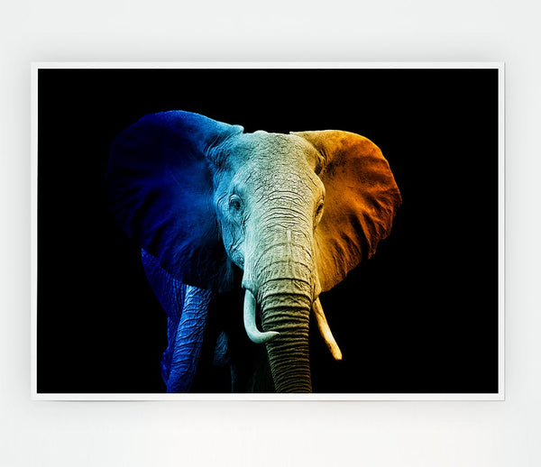Tri Coloured Elephant Print Poster Wall Art