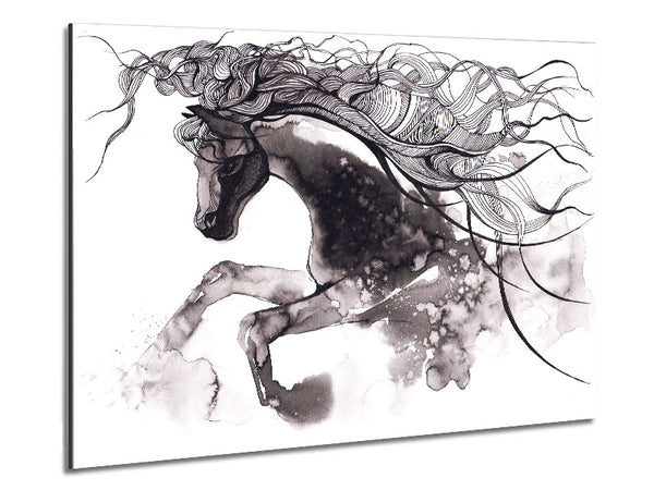 Long Haired Horse Metal Print
