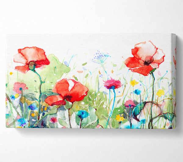Mohnblumen und gemischte Blumen