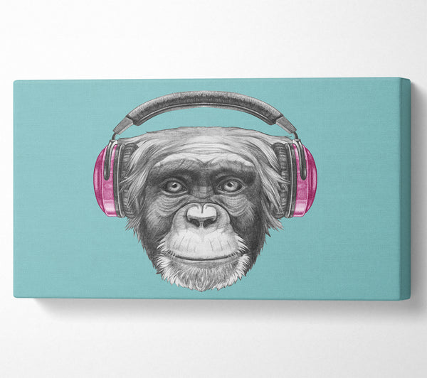 Schimpansen-Kopfhörer-DJ