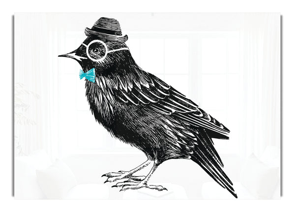 Hipster Krähe