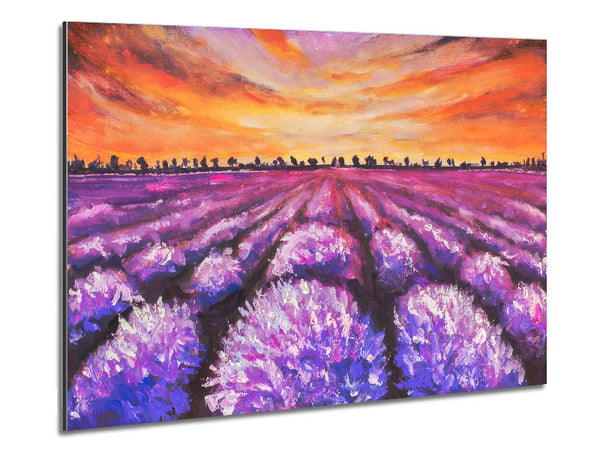 Lavender Fields Supreme Metal Print