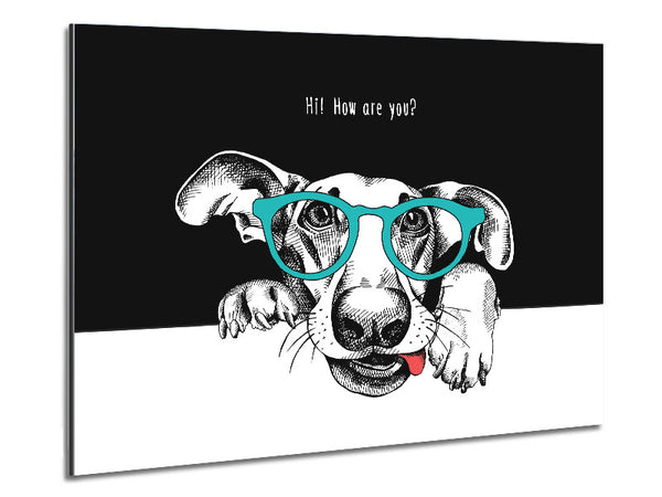 Hallo, wie geht es dir, Hund?