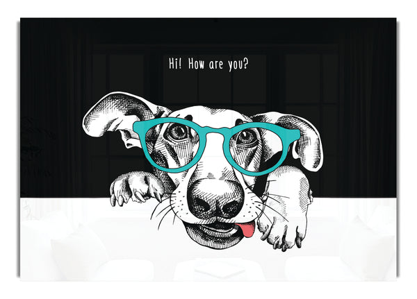 Hallo, wie geht es dir, Hund?
