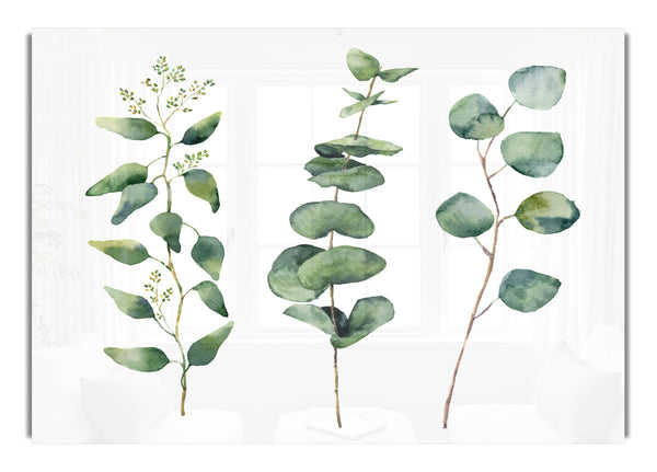 Three Green Foliage Stems