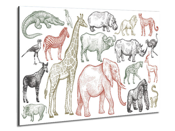 The Animal Kingdom Sketch Metal Print