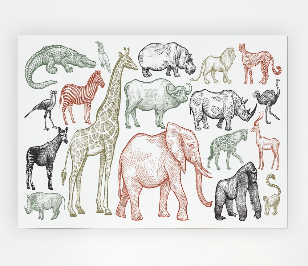 The Animal Kingdom Sketch Print Poster Wall Art