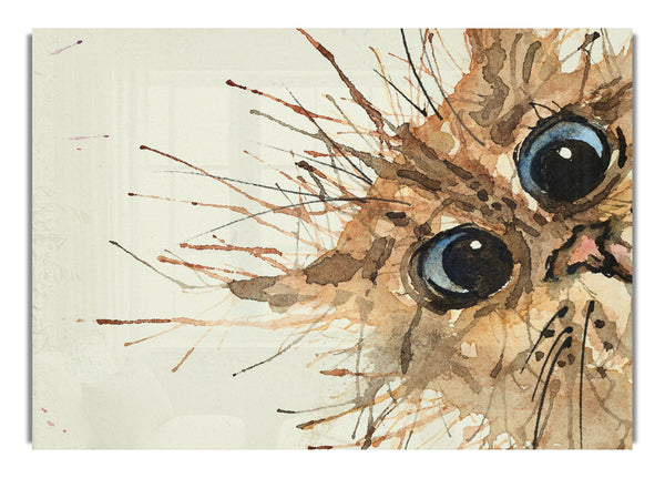 Watercolour Splat Cat