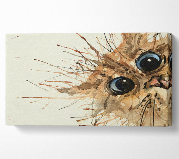 Aquarell Splat Katze