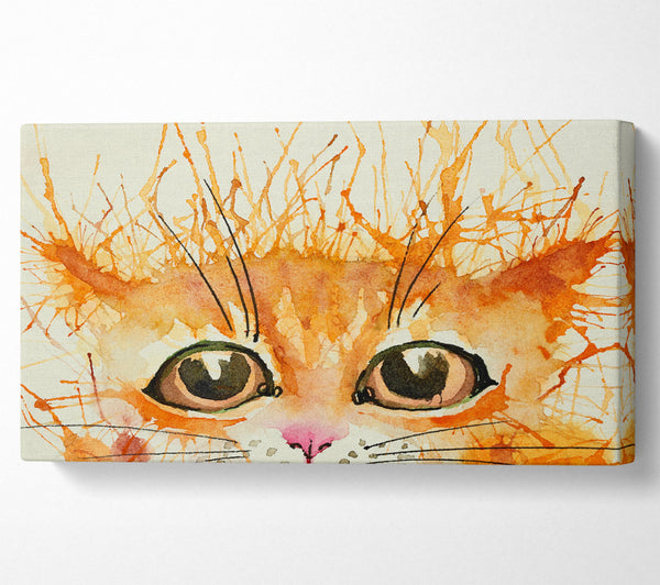 Aquarell Ingwer Katze Splat