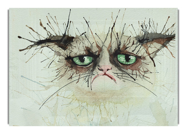 Mürrische Katze Aquarell Splat