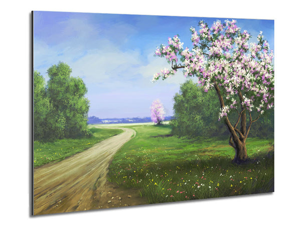 The Road Through The Blossom
