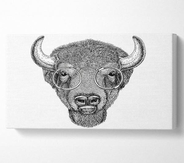 Brille auf einem Bison