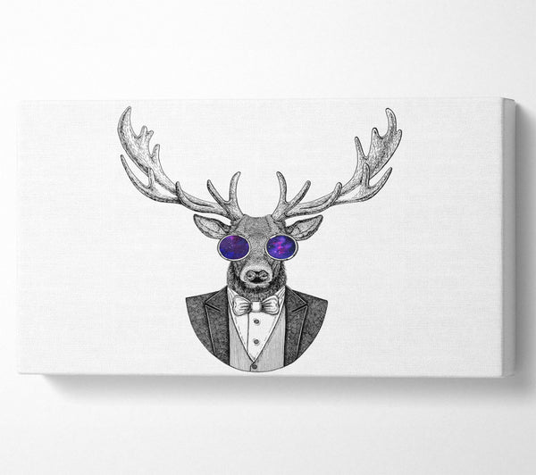 Brille Hirsch