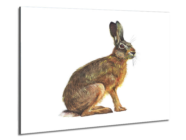 The Hare Alone Metal Print