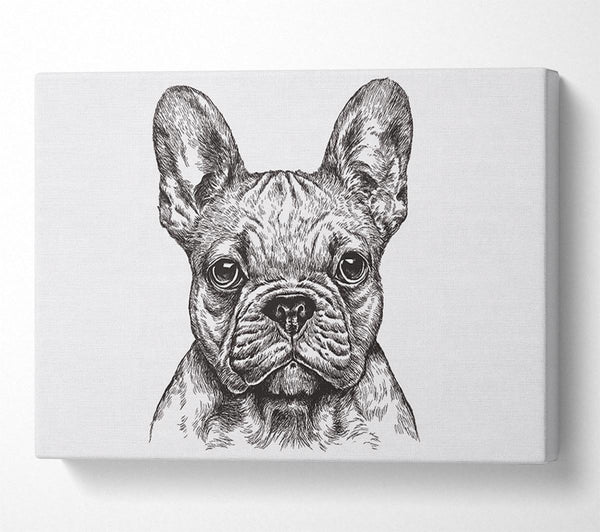  A Canvas Print of French Bulldog Sketch Canvas Wall Art