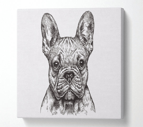 A Square Canvas Print Showing French Bulldog Sketch Square Wall Art