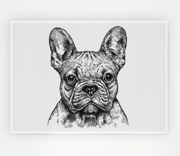 French Bulldog Sketch Print Poster Wall Art
