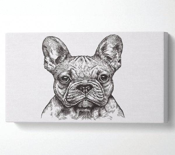 Skizze der französischen Bulldogge