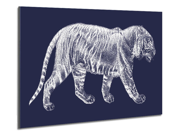 The X Ray Tiger