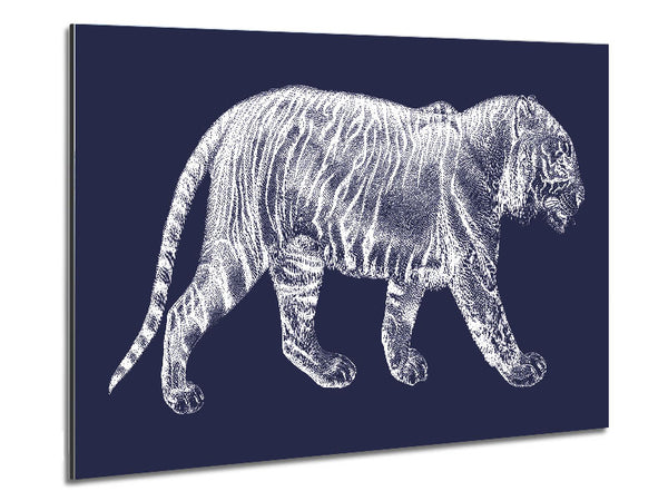 Der Röntgentiger