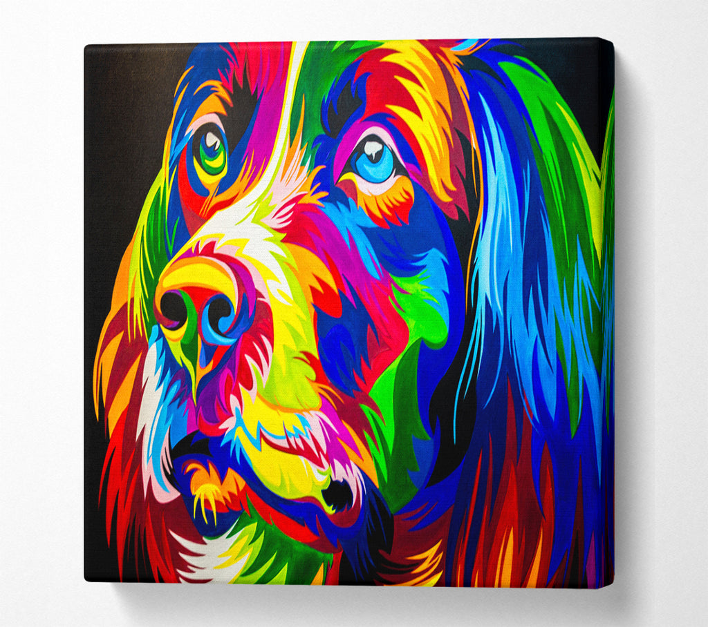 A Square Canvas Print Showing The Stunning Colourful Dog Square Wall Art