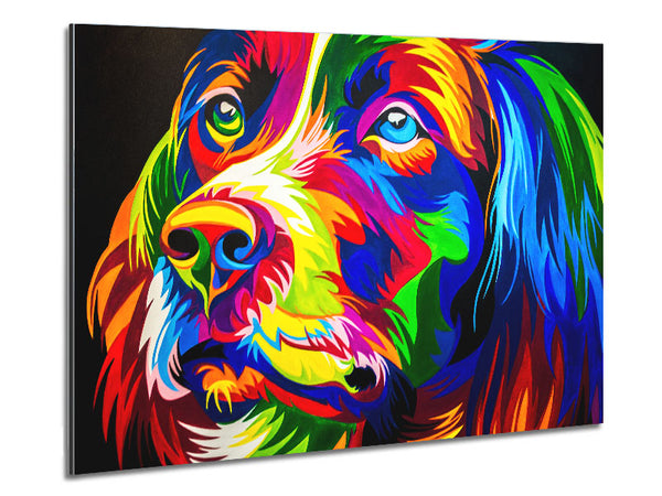 The Stunning Colourful Dog Metal Print
