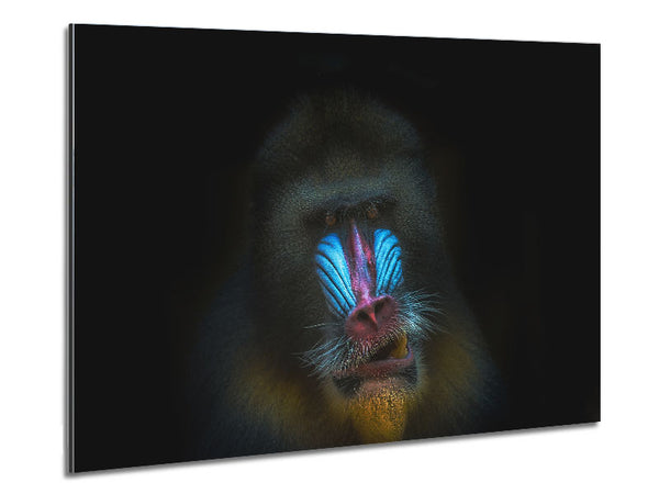 Mandrill Anger Metal Print