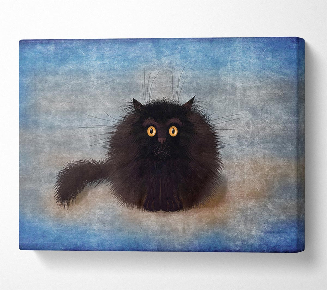 Picture of Black Fuzzy Cat Canvas Print Wall Art