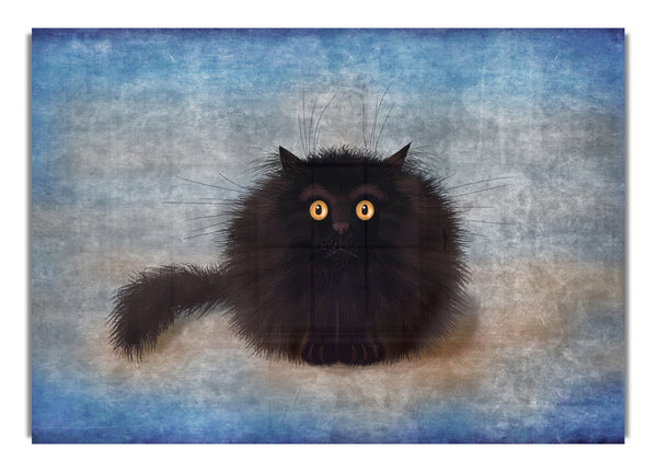 Black Fuzzy Cat