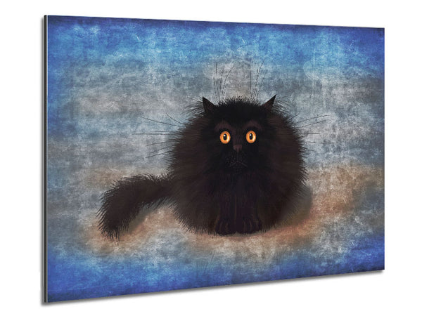 Schwarze, flauschige Katze