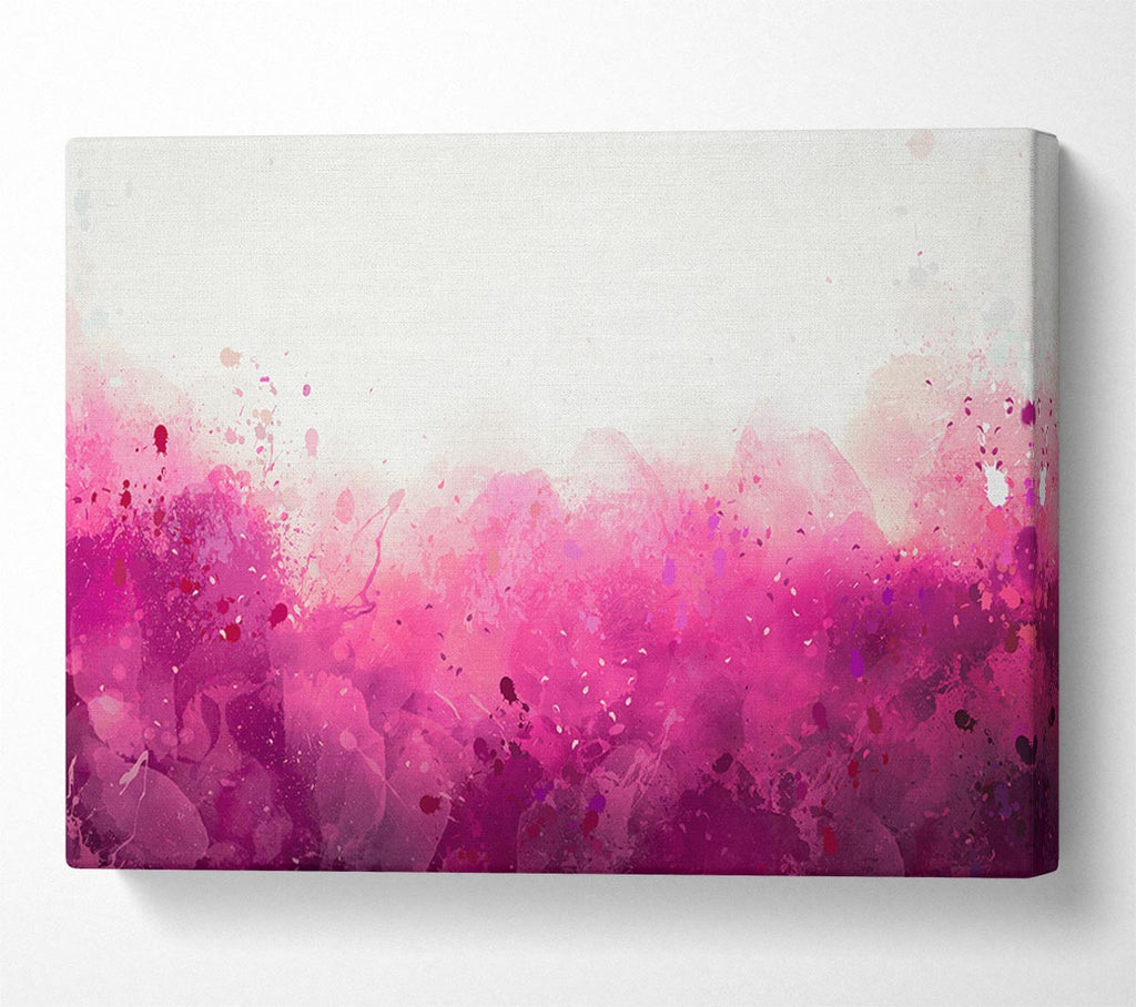 Picture of Pink Blushes Of Colour Canvas Print Wall Art