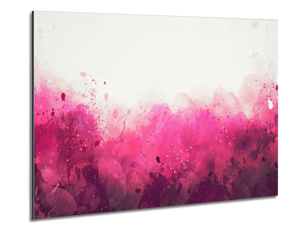 Pink Blushes Of Colour Metal Print