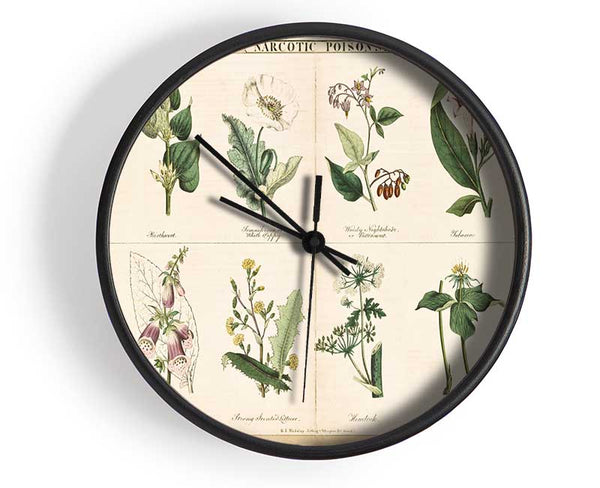 Flower Illustrations Clock - Wallart-Direct UK